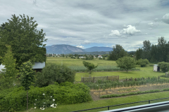 IMG_7281.jpeg