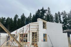 ICF-1