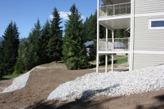 backyard-area