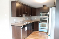 Sixplex-203-kitchen